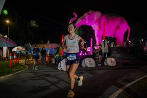 BIB: 
                            <button type="button" onclick="openModal(26552026)" class="btn btn-primary btn-sm float-right btn-popup" data-toggle="modal" data-target=".modal-high-quality">
                        <i class="fas fa-shopping-cart"></i> Add to Cart
                    </button>
                                            <button type="button" onclick="isThisMe(26552026, true)" class="btn btn-success btn-sm float-right btn-popup btn-isme hidden" data-toggle="tooltip" data-placement="bottom" title="นี่คือรูปของคุณใช่ไหม คลิกที่นี่เพื่อเอาเข้าอัลบั้ม">
                        <i class="fas fa-plus"></i> Add to album
                    </button>
                    <button type="button" onclick="isThisMe(26552026, false)" class="btn btn-warning btn-sm float-right btn-popup btn-isnotme hidden">
                        <i class="fas fa-ban"></i> Remove from album
                    </button>